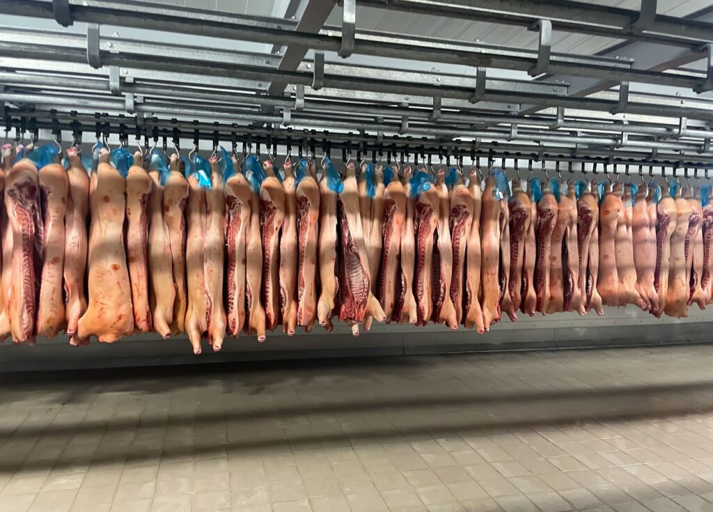 Ako bezpečne rozmraziť mäso pred grilovačkou? ÚVZ varuje pred chybami