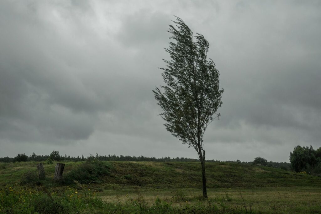 Silný vietor hrozí na západe: Meteorológovia vydali výstrahy pre tri kraje