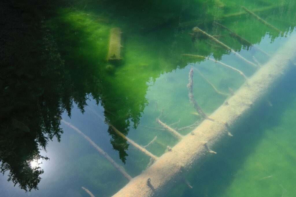 Kvalita vody na slovenských kúpaliskách: Na štyroch miestach znížená priehľadnosť