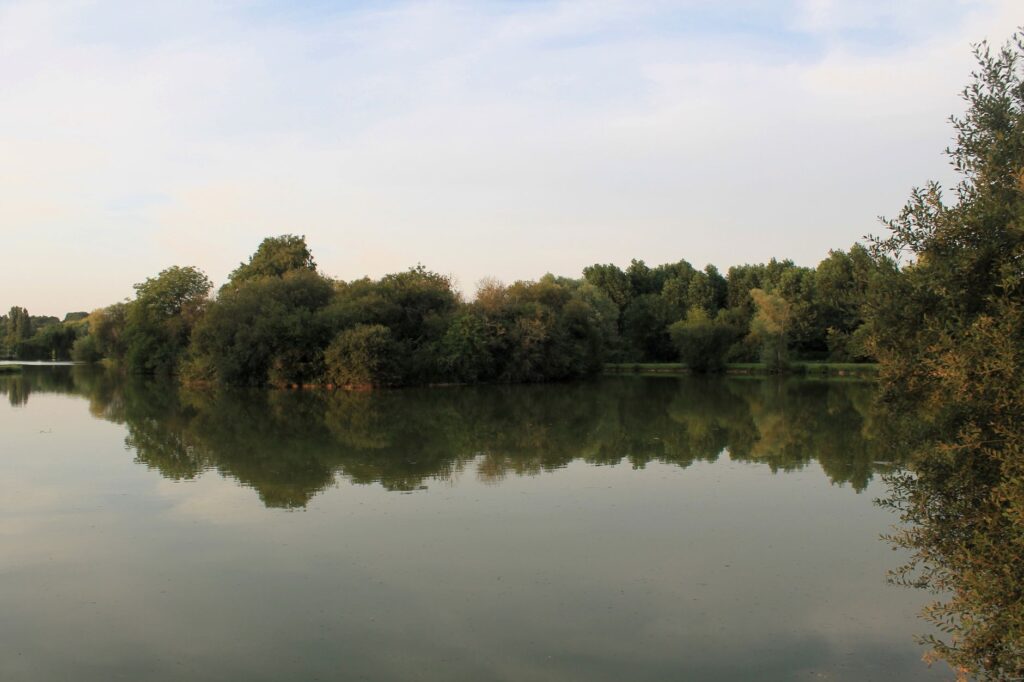 Fiľakovo oživí roky vyschnuté jazierko, vznikne oddychová zóna